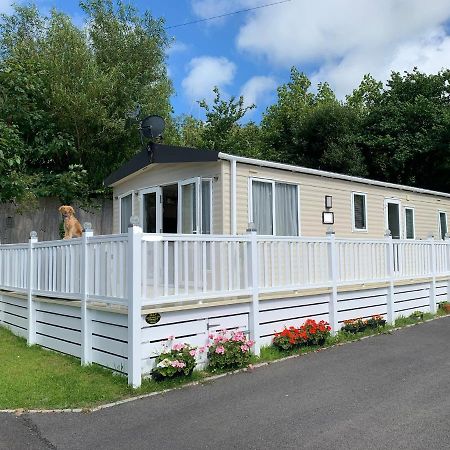 Mollys Retreat Pet Friendly Three Bed Caravan With Small Garden Newquay Bay Resort Quieter Area Of Park Exteriér fotografie